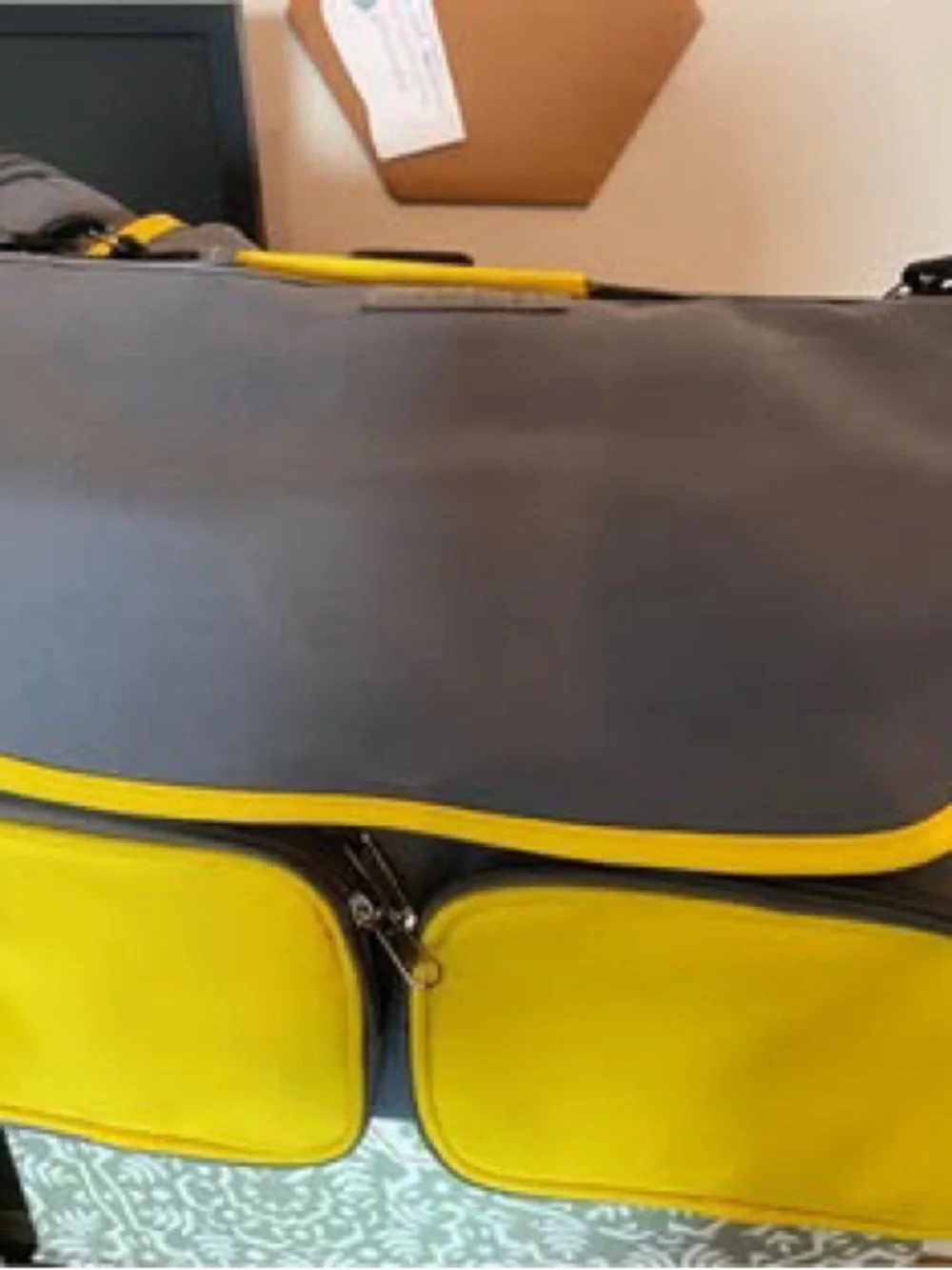 Gray and Yellow Soft-Sided Dog Carrier Travel Bag